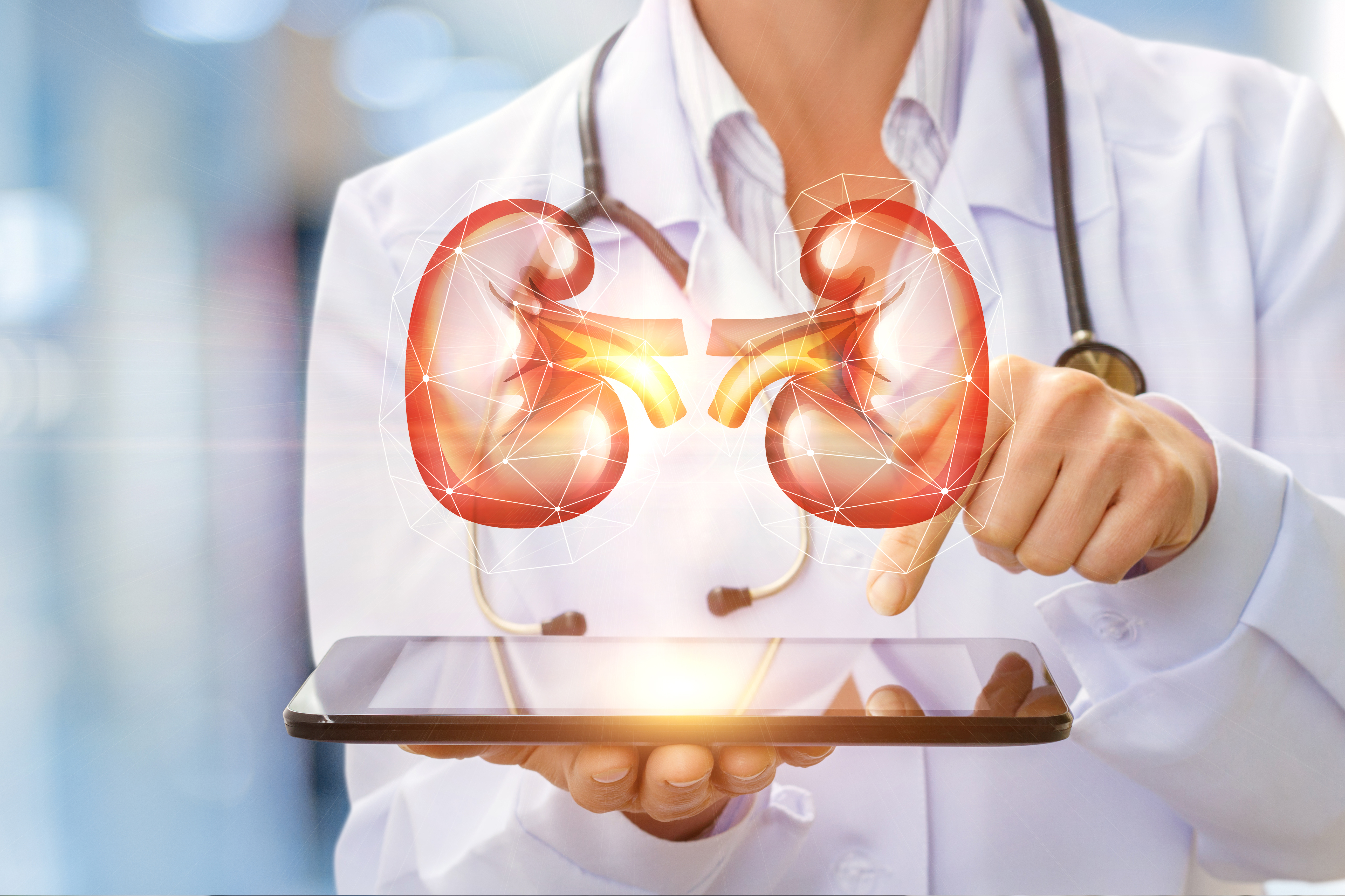 Top Nephrologist and Kidney Care Guide: Expert Insights for Healthy Kidneys
