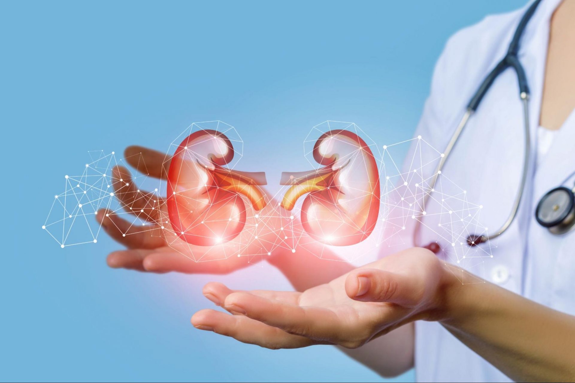 Best Nephrologist and Kidney Care: Expert Insights for Healthy Kidneys