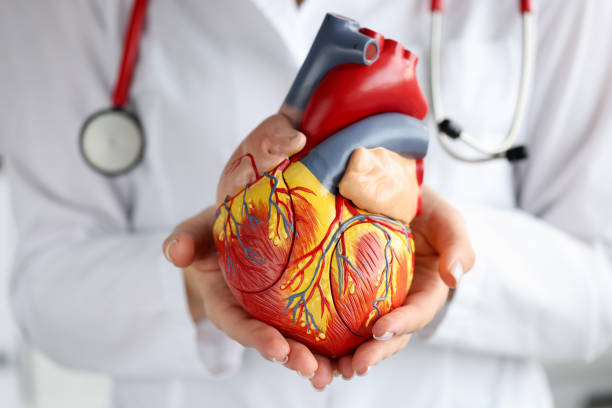 Top Cardiology and Heart Care: Expert Insights for a Healthy Heart