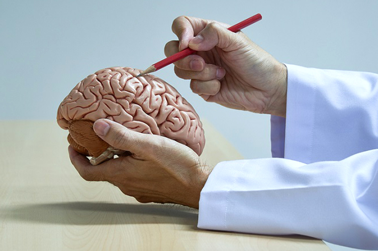 Best Neuromedicine and Neurosurgery Care: Expert Brain and Nerve Health Solutions