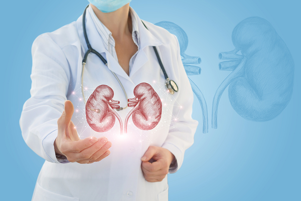 Top Urology Care: Expert Solutions for Kidney and Urinary Health